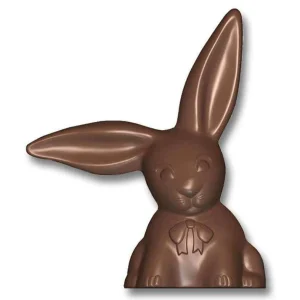Solid bunny